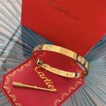 Brățară Cartier LOVE 19 Gold 750 Diamonds