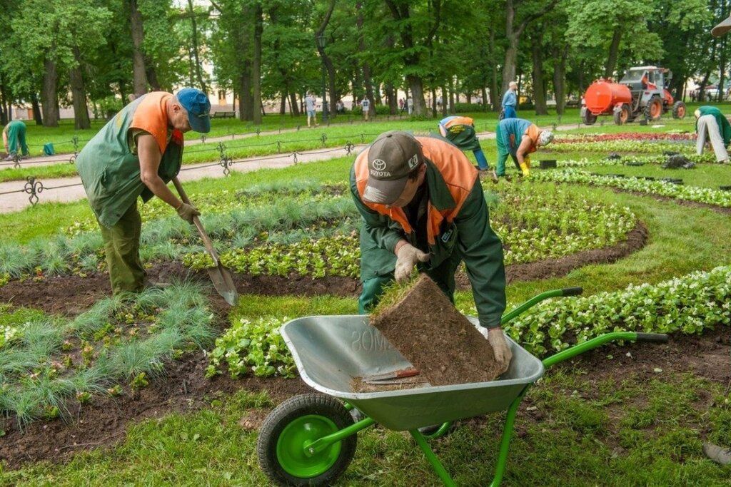 Садовник, Посадка деревьев, цветов, растения уборка сада.