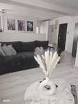 Apartament 2 camere Teilor (PS -uri)