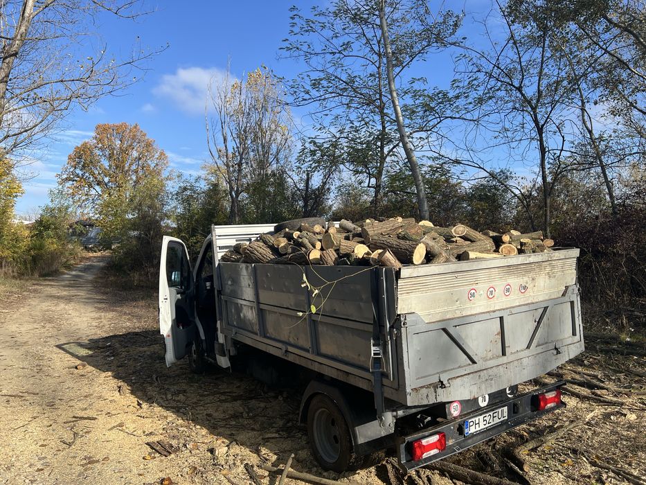 Vand lemne si carbuni