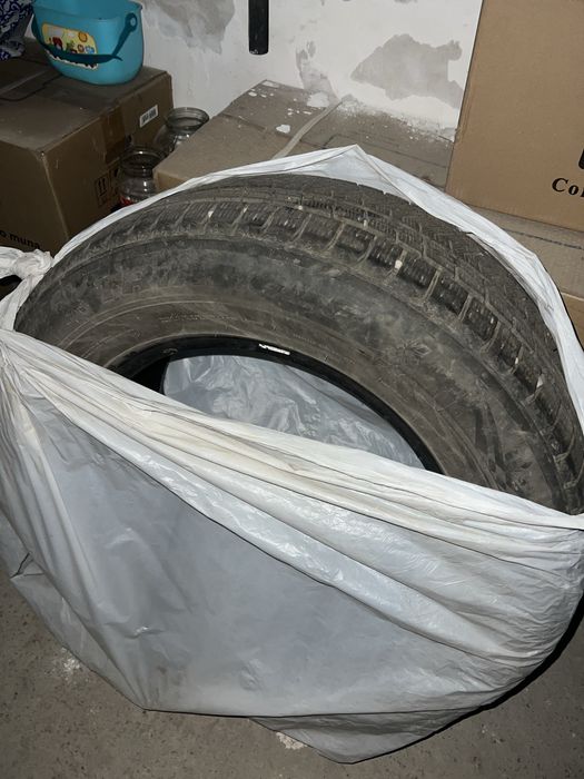 Зимние шины triangle