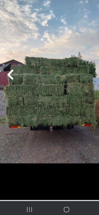 Vând baloti de Fan și lucerna