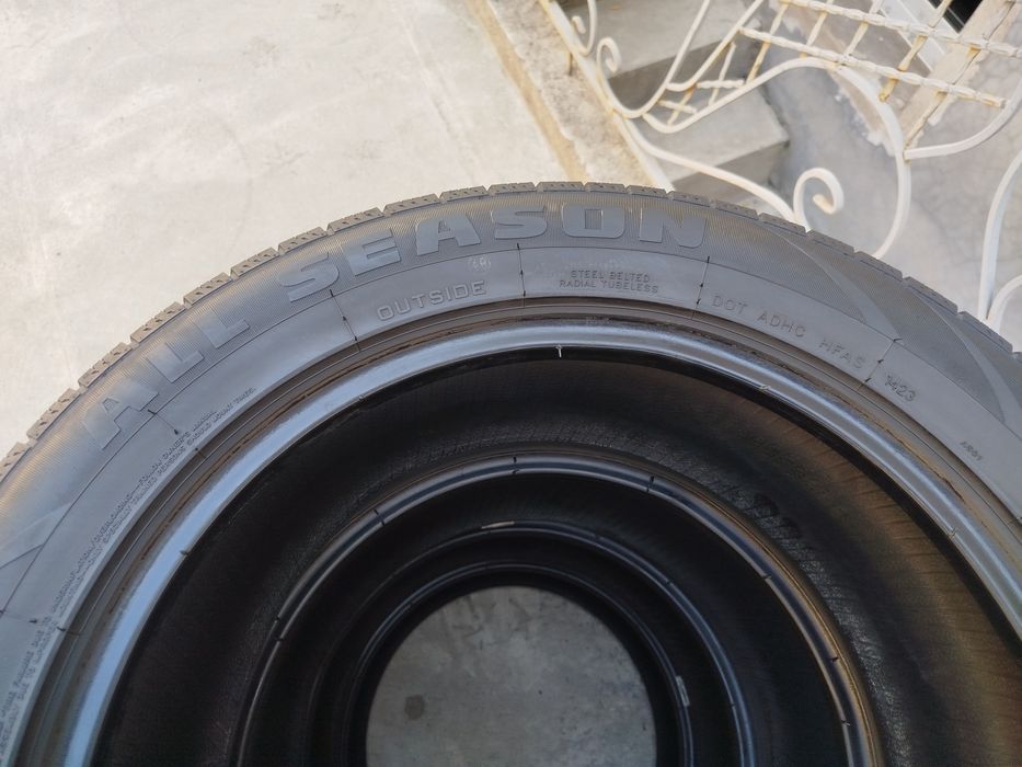 225 55 R17 Shina Avation