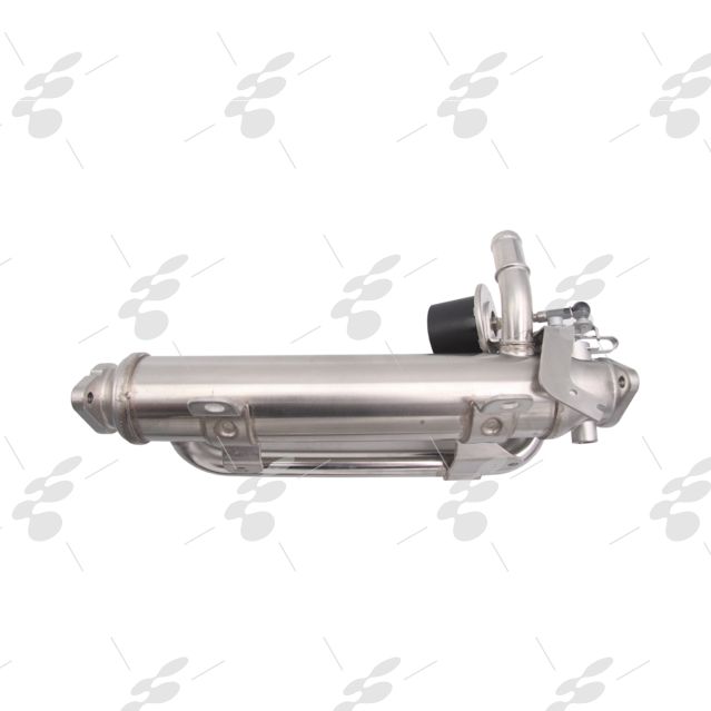 ansamblu EGR racitor supapa EGR fiat ford citroen peugeot volkswagen