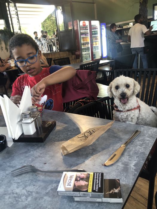 Cazare caini talie mica si medie