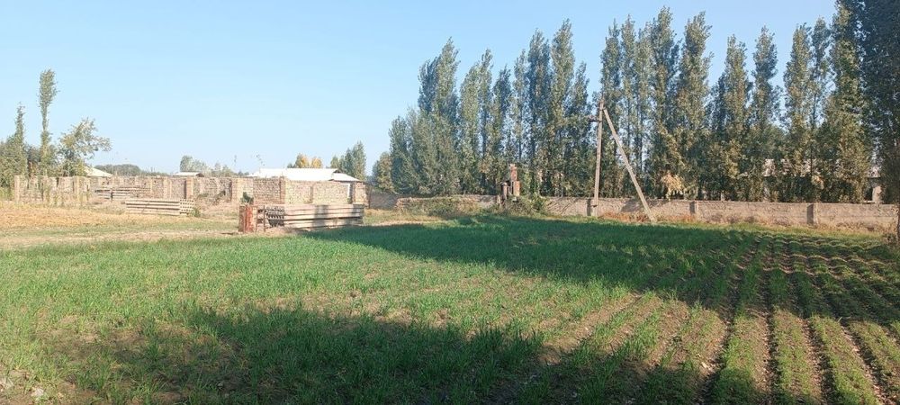 Продается 1,5 гектаров
