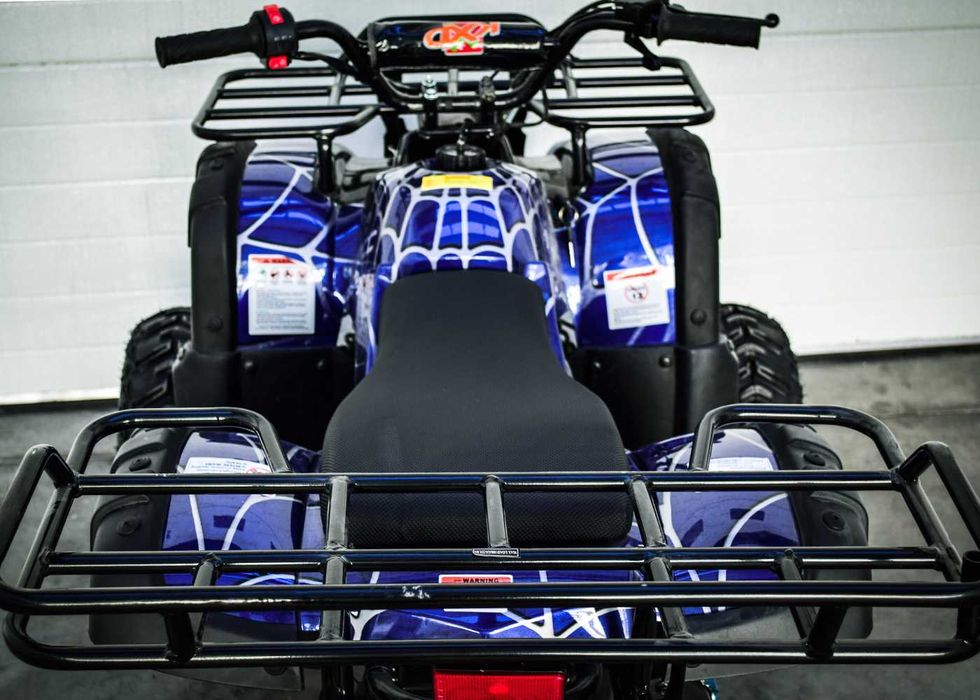 Atv Kxd Grizly Comander 110 Oferta Promo 799 Euro Culoare Albastru