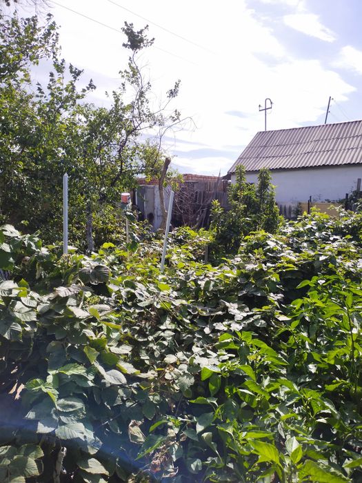 Продается дача 16,73 соток