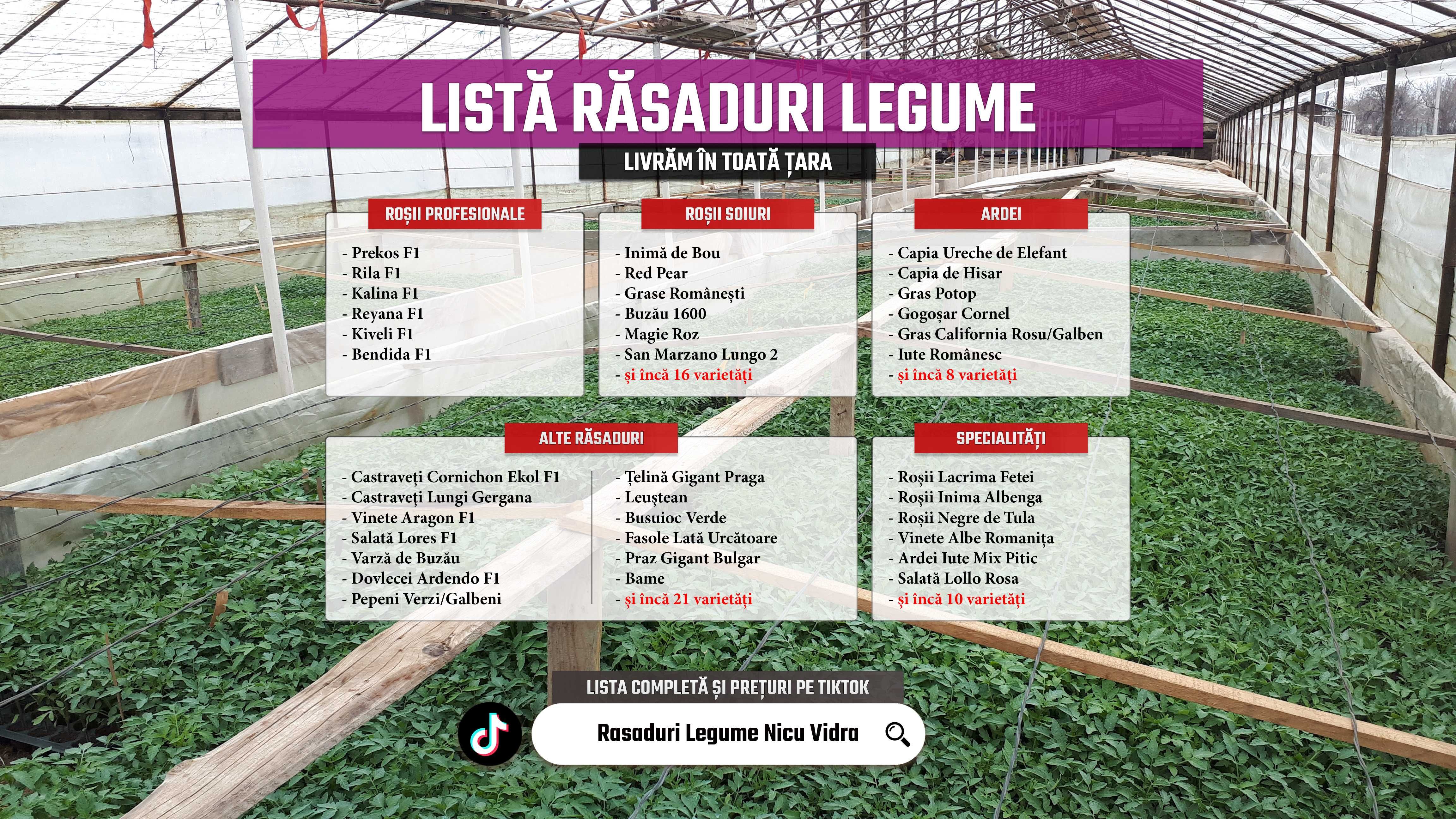 Rasad | Rasaduri legume ardei rosii castraveti vinete salata telina