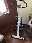 Stepper inSportline Bailar