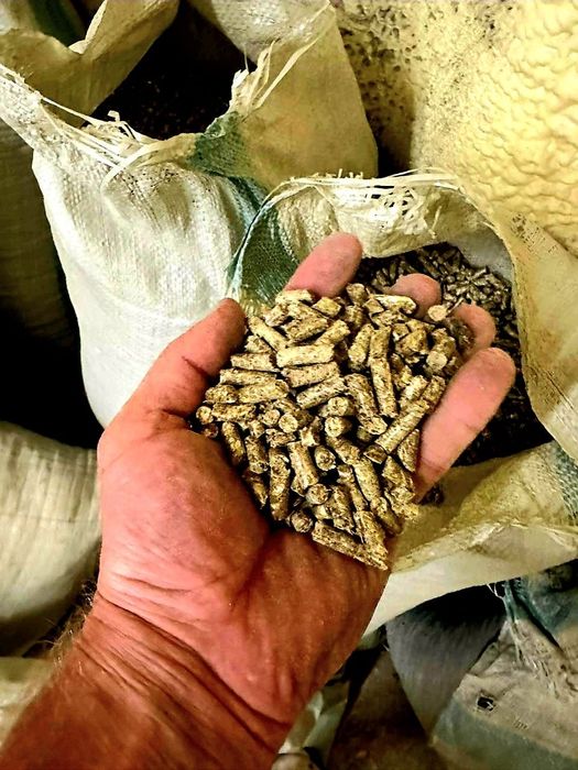 Корм для рыбы фарель сом карповые