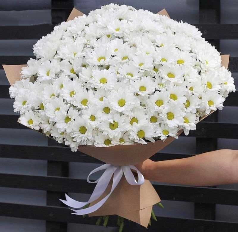 Бесплатная доставка цветы Алматы Розы Хризантемы Ромашки Пионы