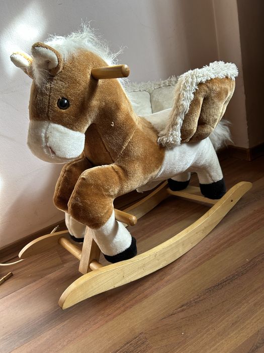 Люлеещо се конче