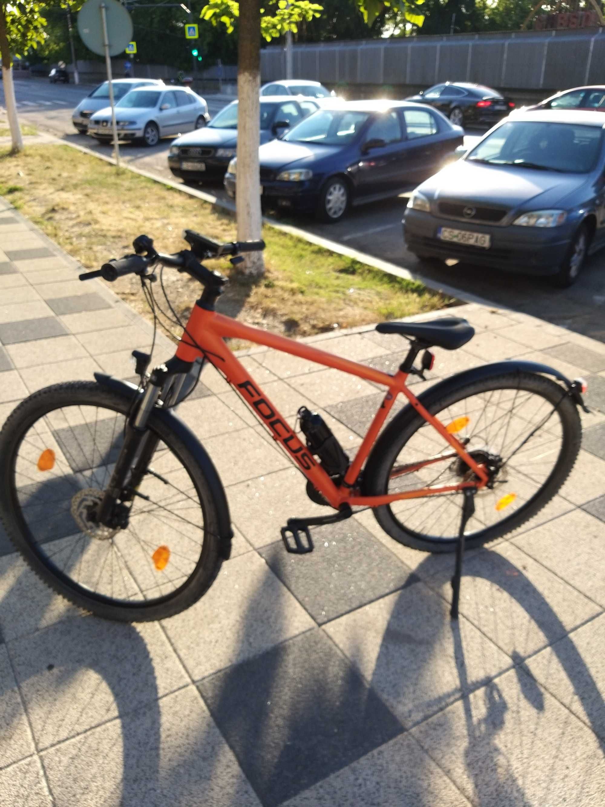 Bicicleta focus comcept