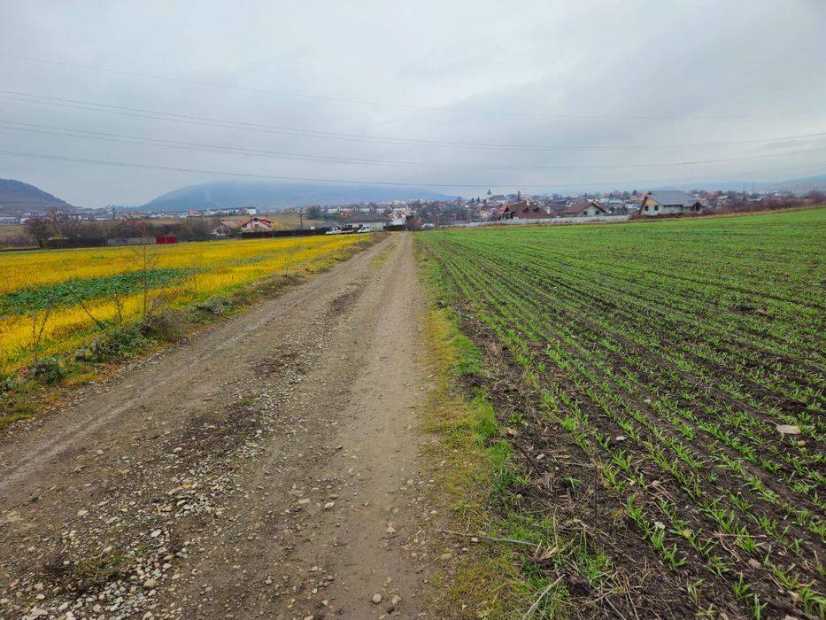 Teren Ciritei - Piatra Neamț- intravilan