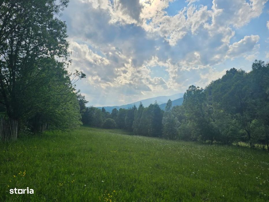 Teren De Vanzare Aproape De Padure