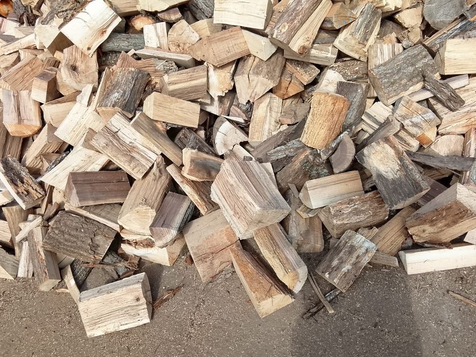Vând lemne crăpate esență tare fag la preț convenabil