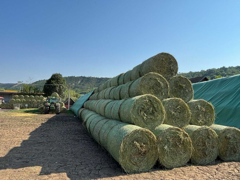 Baloti lucerna  125x125 cm