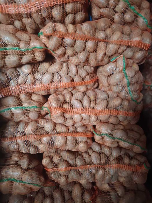 Cartofi consum rosu sí albi.