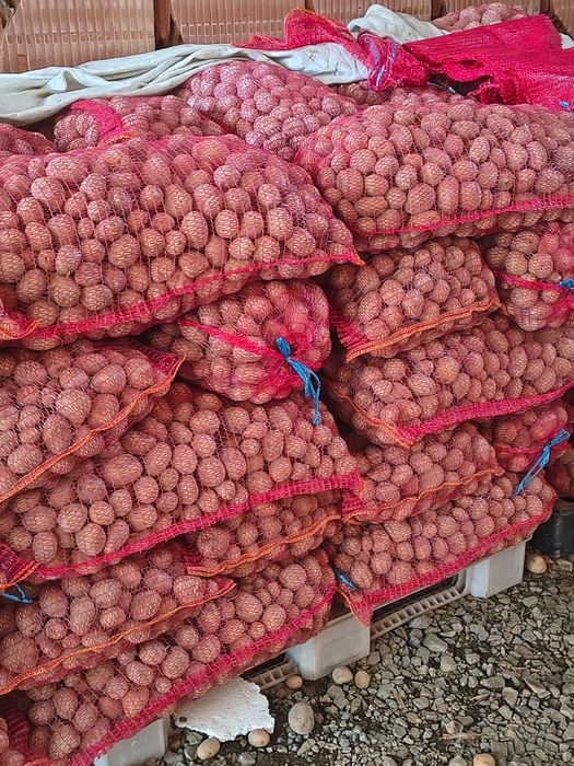 Cartofi pentru animale