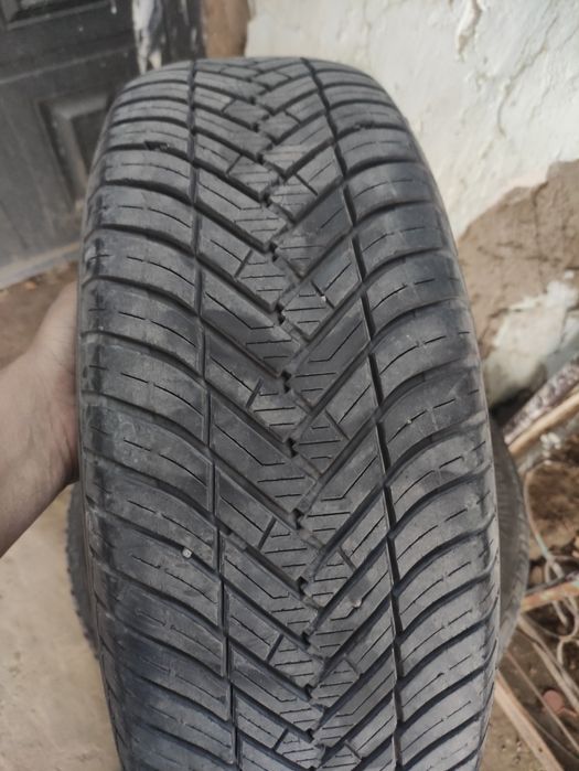 Balon sotiladi yaxshi kam yurgan