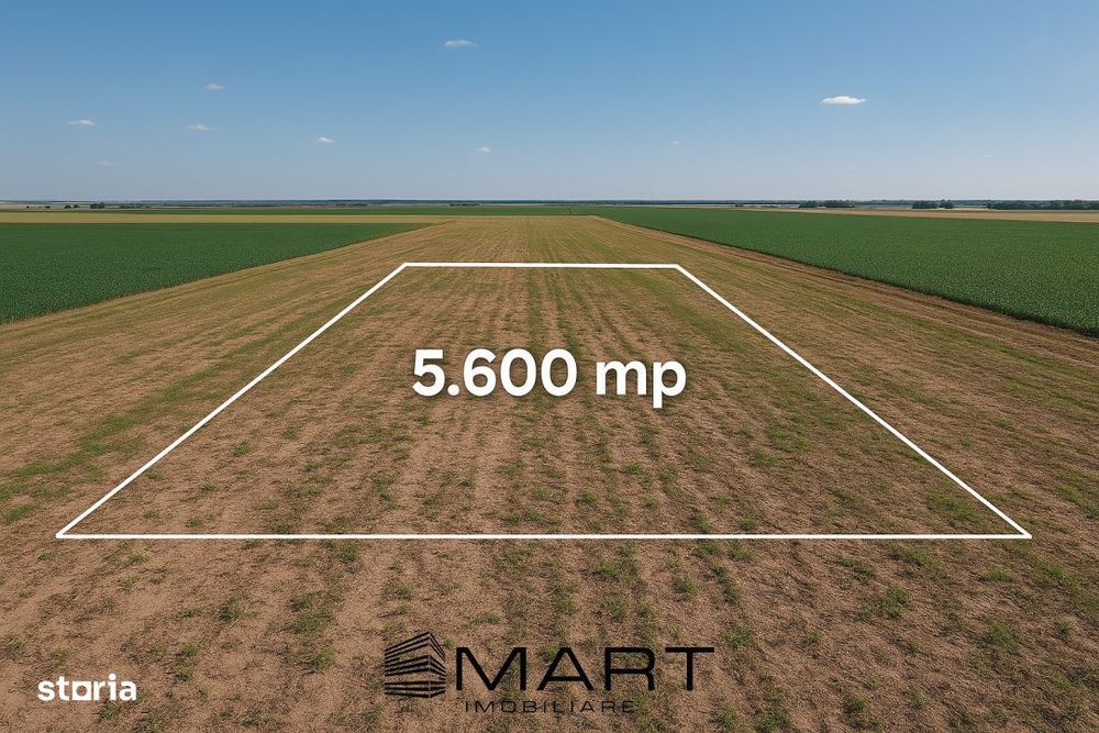 Teren extravilan 5600mp Daia Romana - Alba