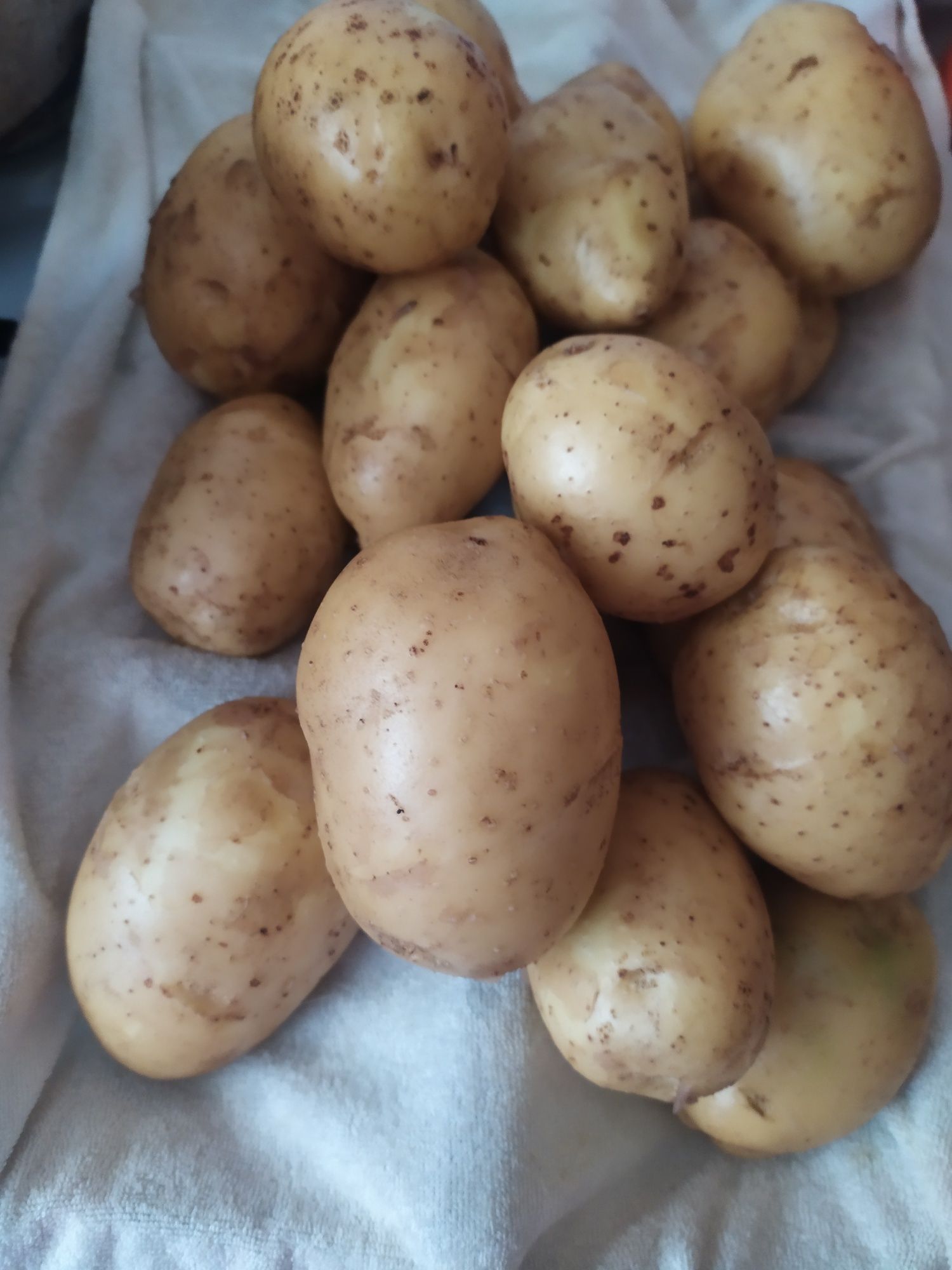 Продам картофель, морковь,свеклу