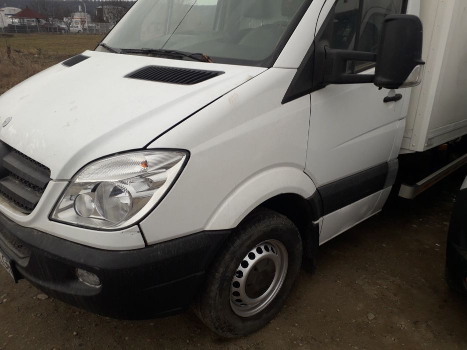 Punte simpla sprinter