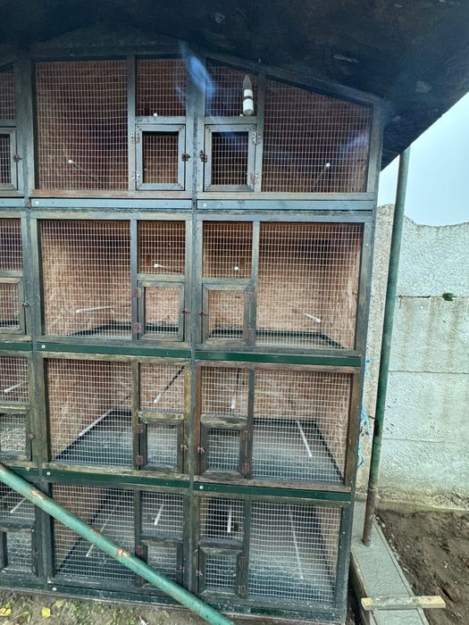 Voliera păsări deosebită