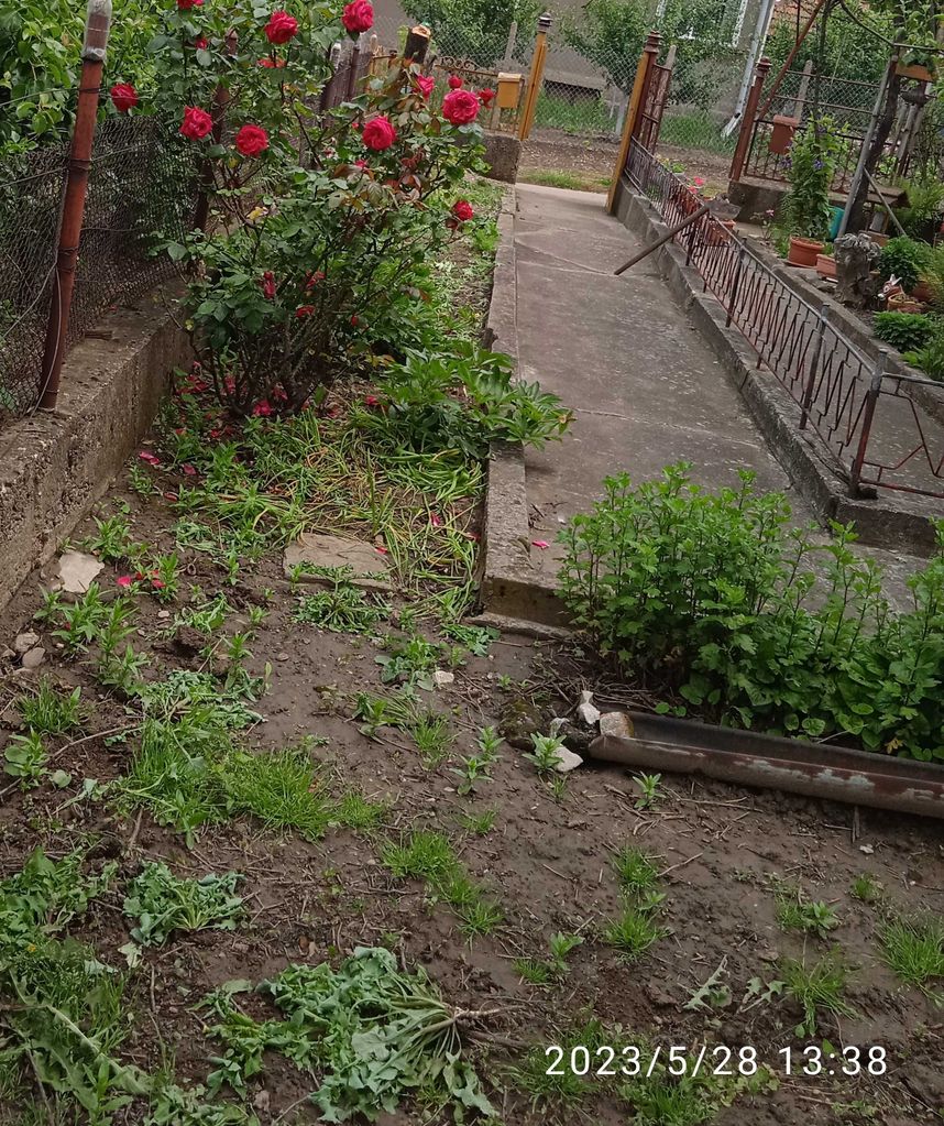 Продава се Къща в Оряхово - 100 кв.м за 204 €/кв.м - Снимка #2