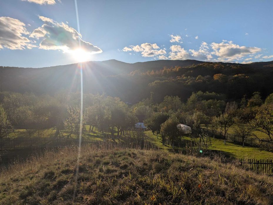 Vand teren, Poenarii de Muscel, Jugur