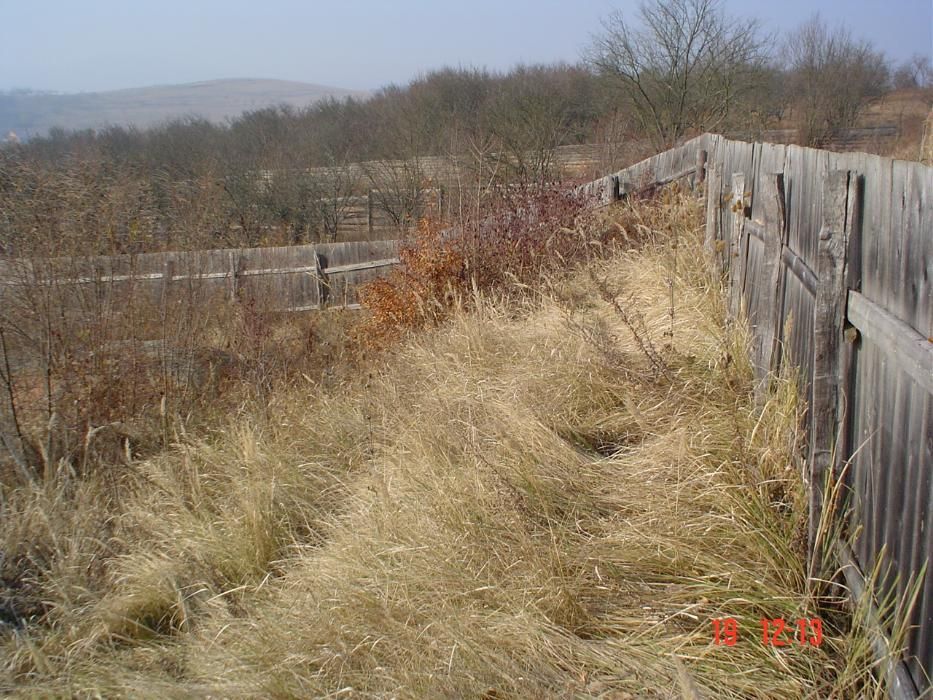 Vând teren extravilan 13 ari, Șchullerwald, La soare, Bistrița.