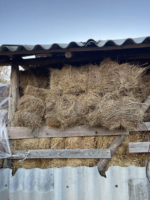 Baloti de fân,ovăz,coceni
