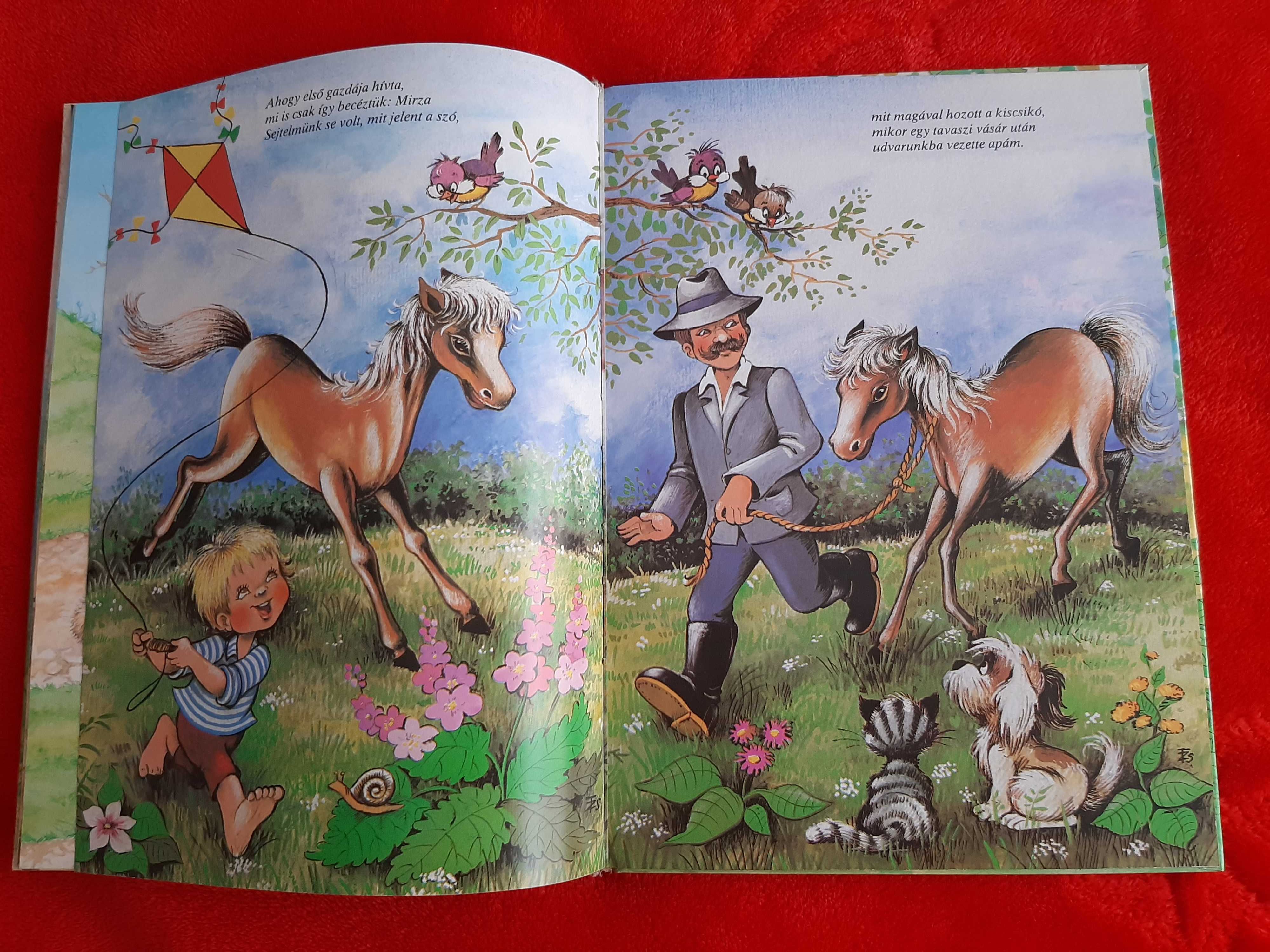 Carte copii in lb.maghiara