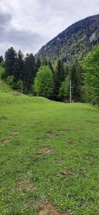 Vând teren intravilan 2500mp