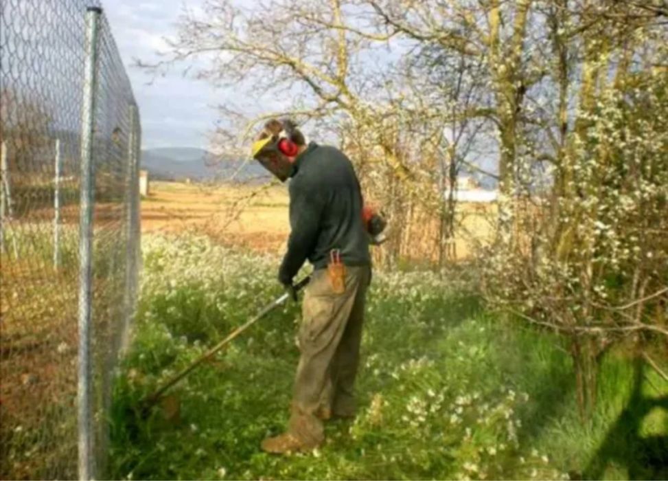 Toaletari, defrișări, îngrijiri vegetație