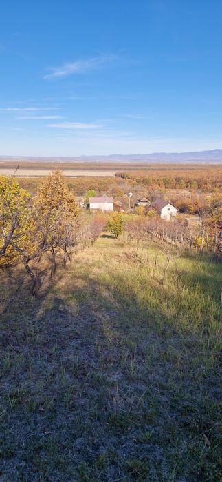 Cabană de vânzare,  dealul viilor, Ineu