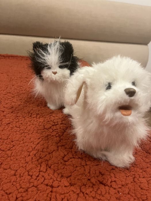 Интерактивно коте и куче