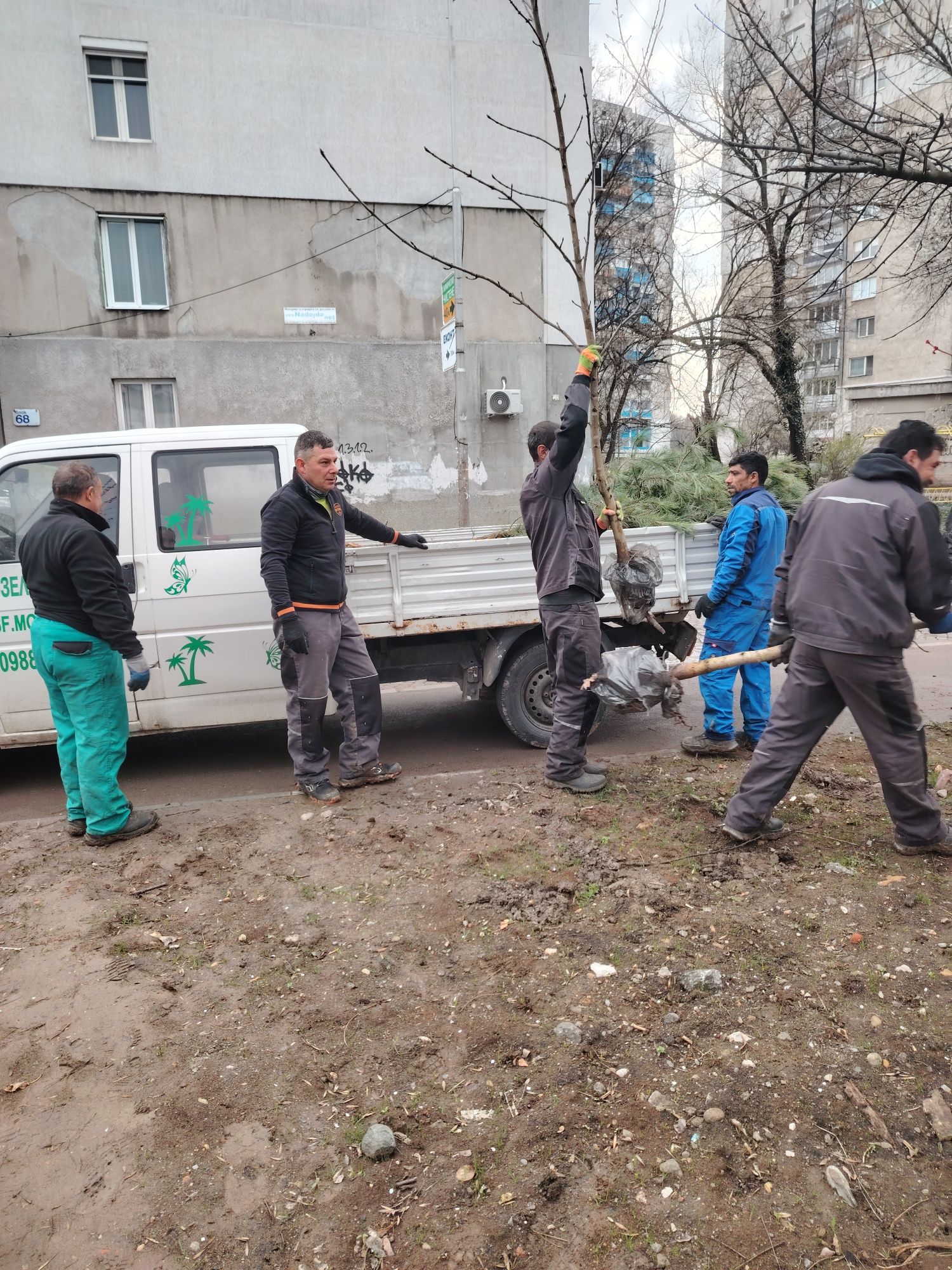 Озеленяване пълна гаранция