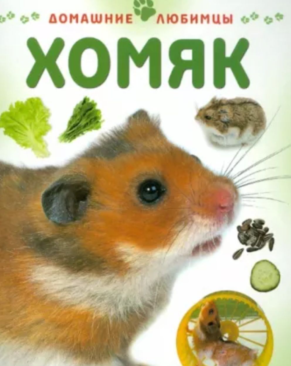 Хомяки   оптом     10.000