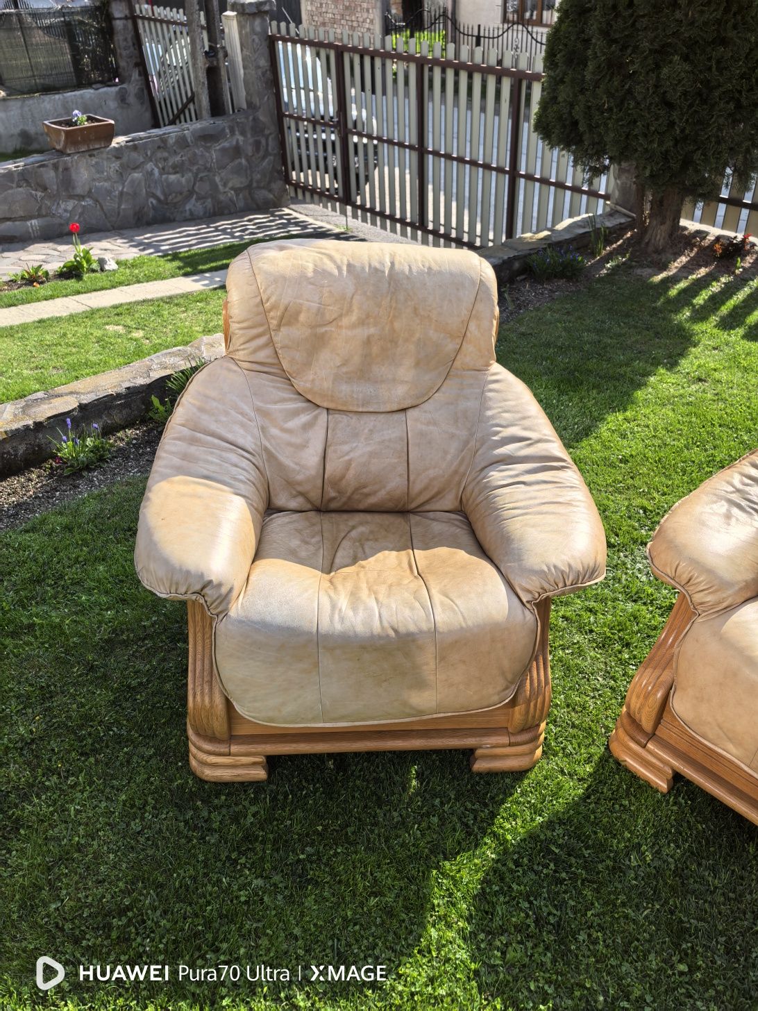 Canapele 321 lemn cu piele