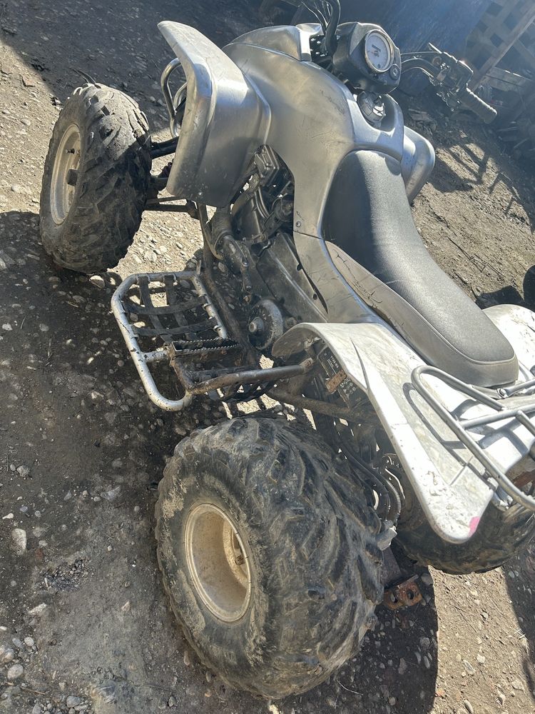 Atv NEW FORCE 250cc