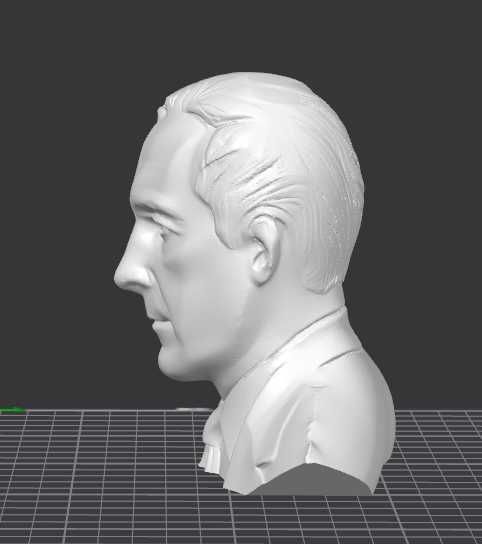 Bust Călin Georgescu