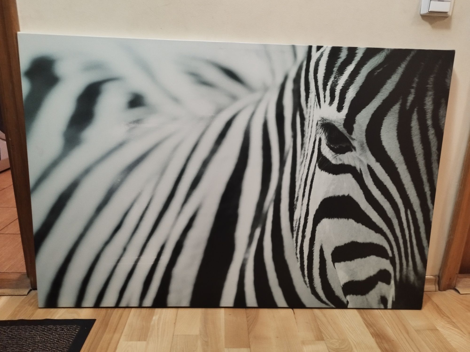 Tablou Zebra Ikea