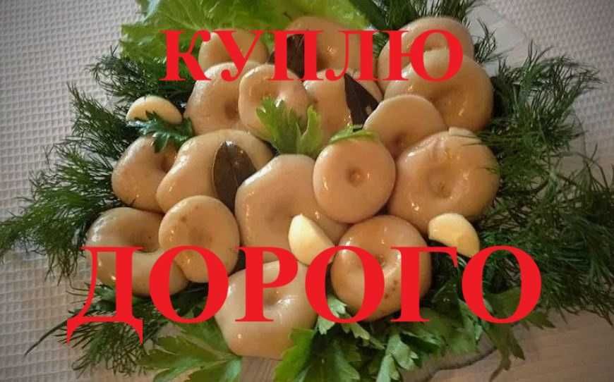 Грузди соленые отварные
