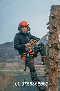 Servicii de alpinism utilitar și de tăiere sau toaletare a copacilor