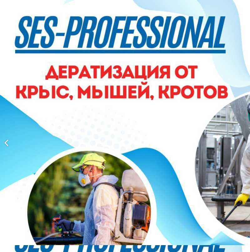 Дезинсекция Уничтожение тараканов клопов Обработка Dezinfeksiya