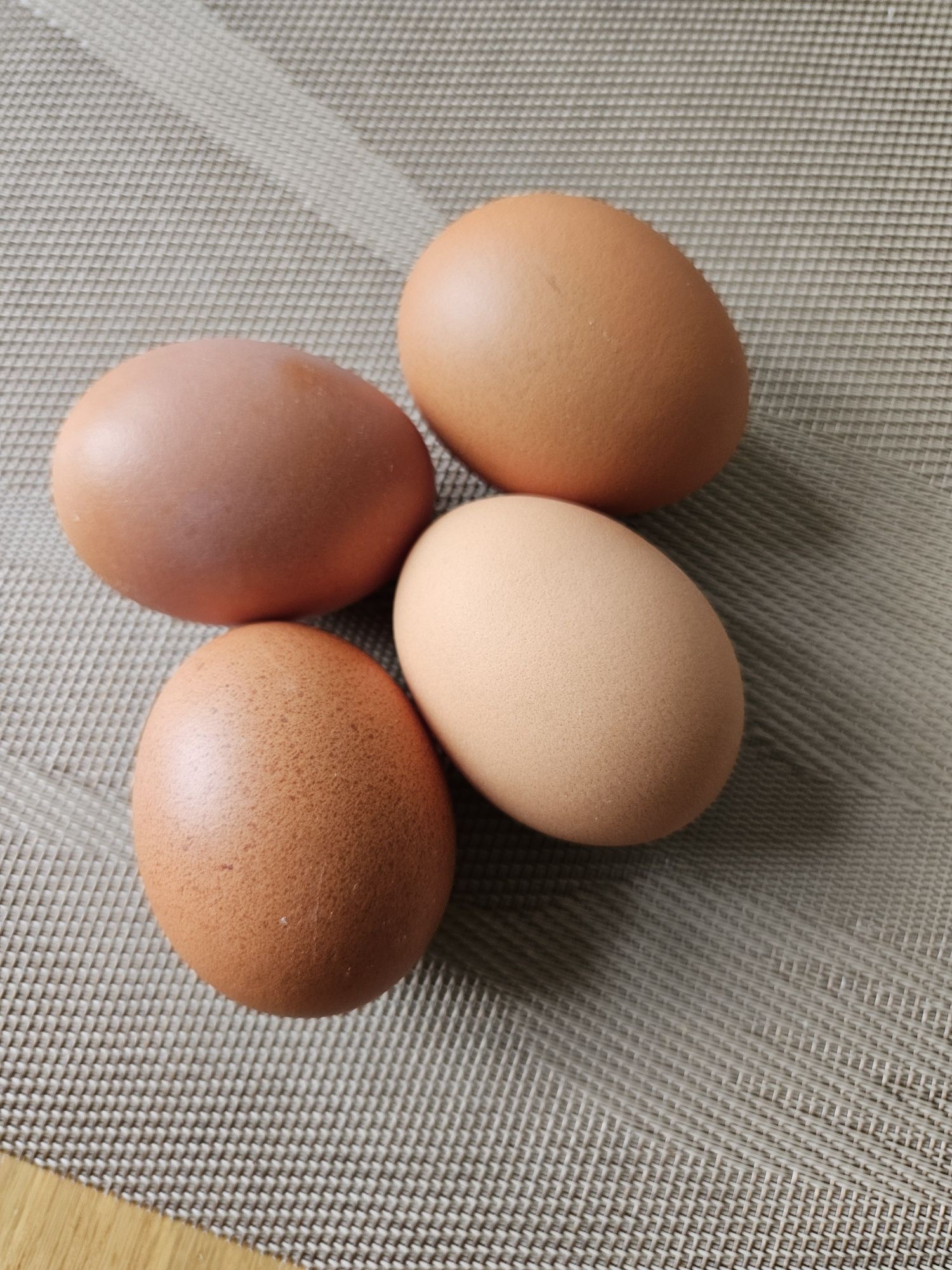 Ouă de găini australorp pentru incubat.