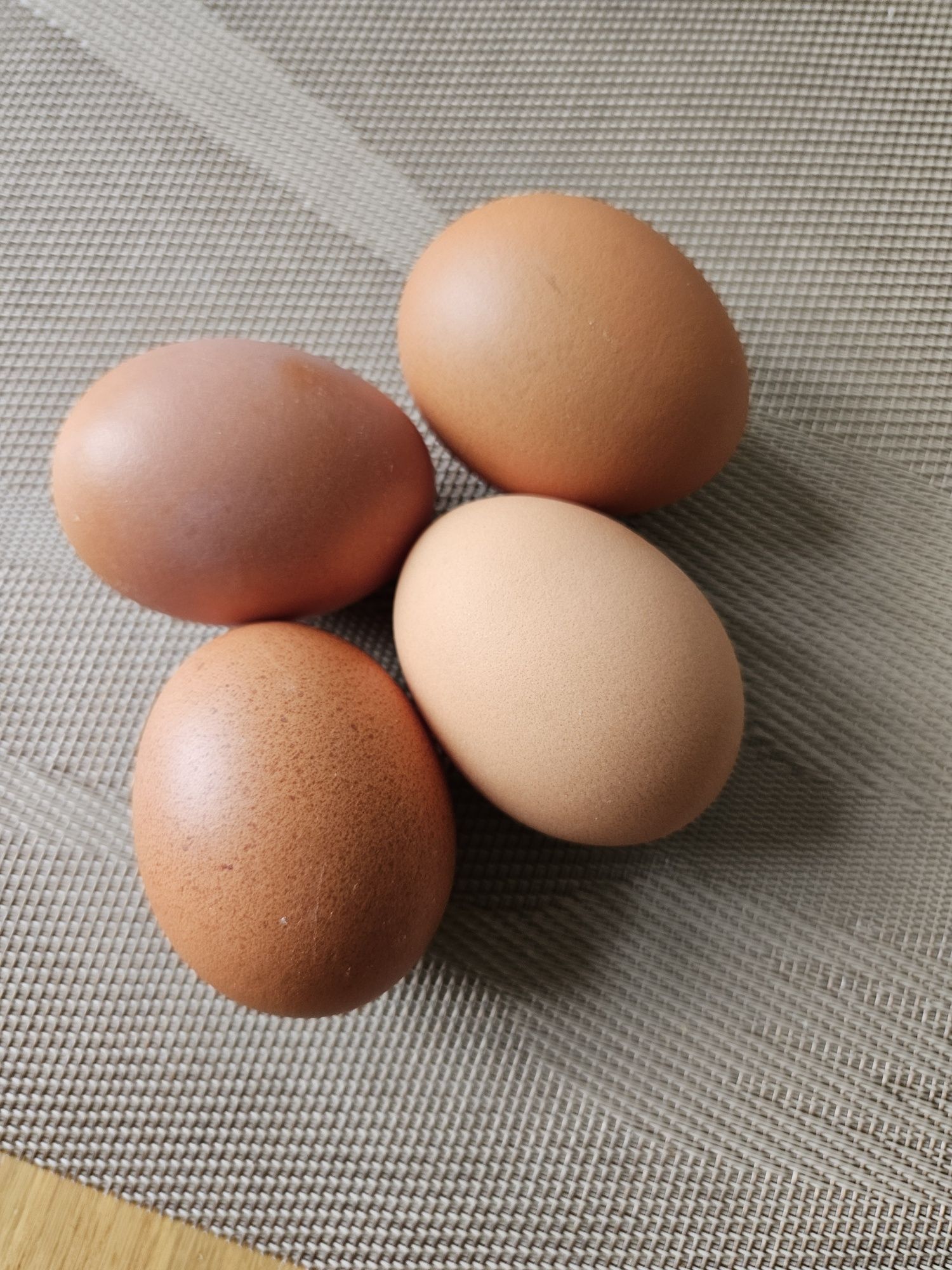 Ouă de găini australorp pentru incubat. Prepelițe și Turturele.