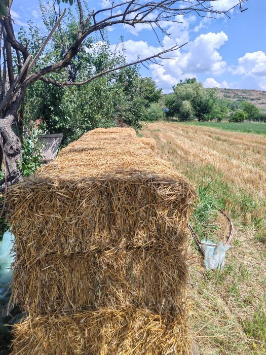 Baloți din paie de grâu